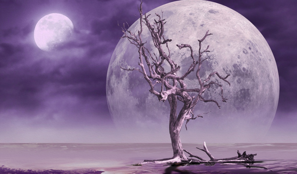 Большая луна в небе у сухого дерева