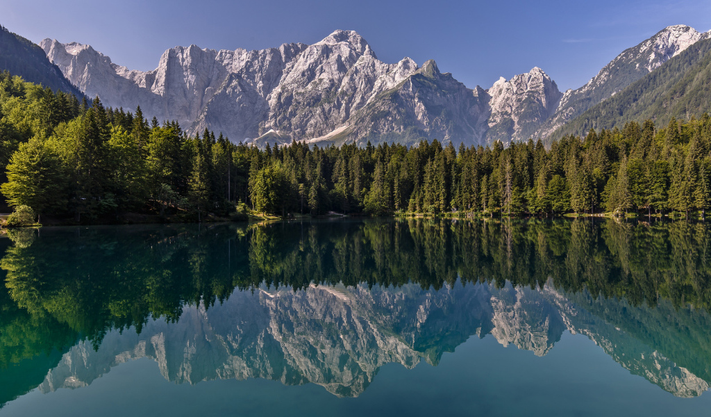 Зеленый хвойный лес и горы отражаются в воде 
