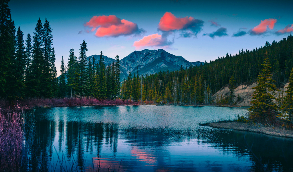 Зеленый лес у озера у подножия гор 