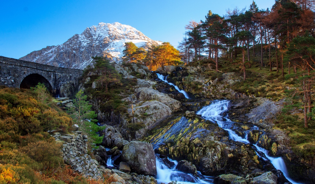 Горный ручей стекает по камням у хвойного леса