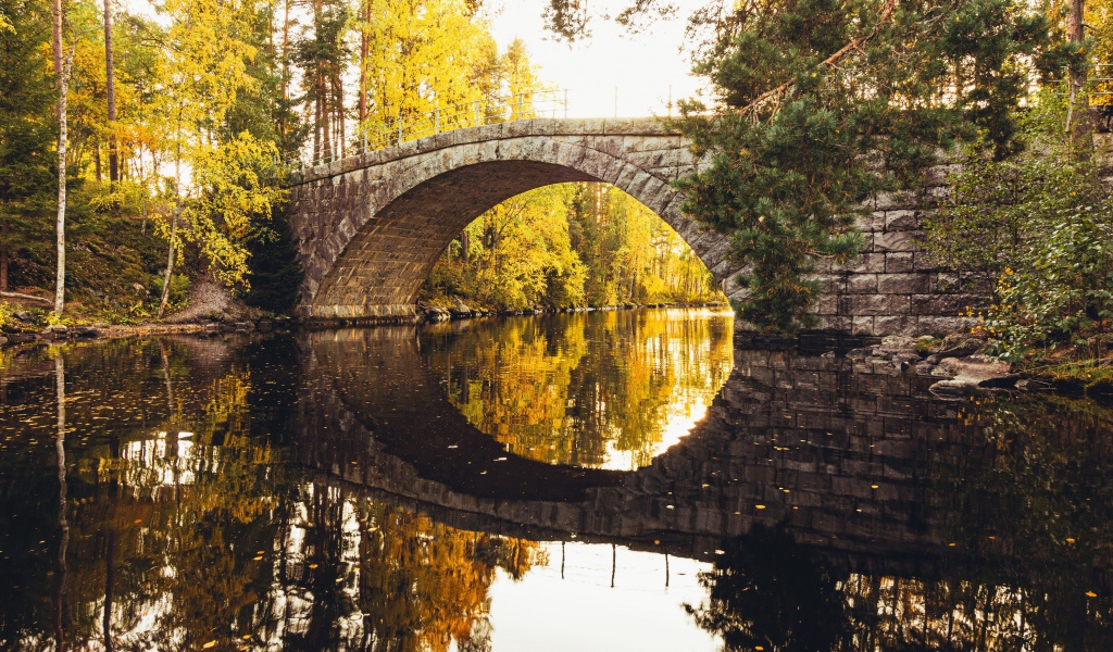 Старый каменный мост через реку в лесу 