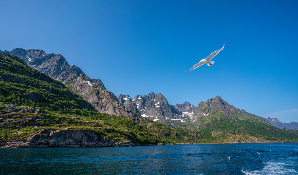 Живописные Лофотенские острова под голубым небом
