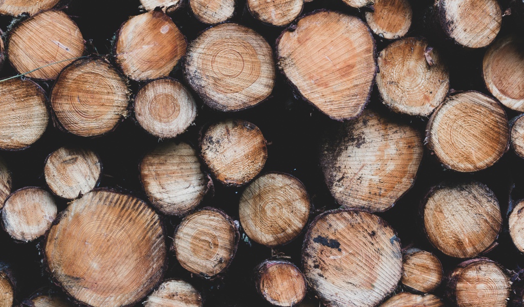 Заготовка дров к суровой зиме