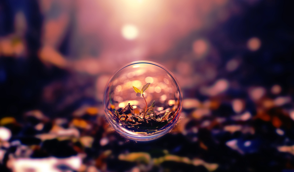 Росток пробивается в стеклянном шаре 