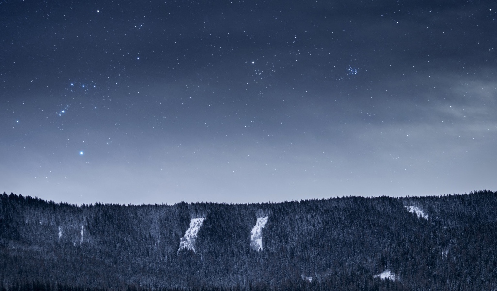 Вид на ночное небо со звездами над лесом