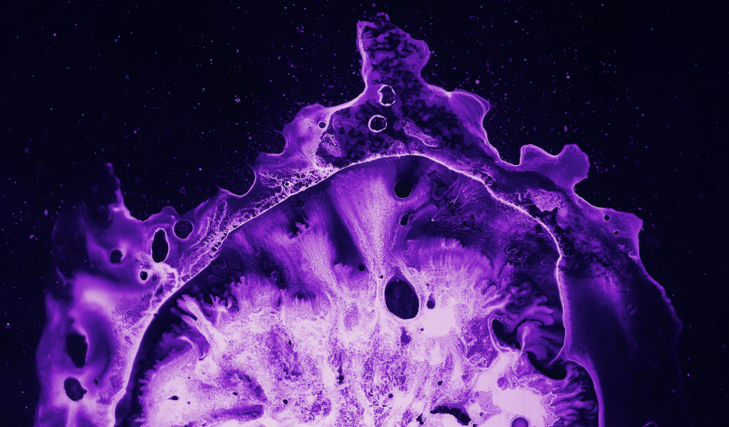 Фиолетовый коралл под микроскопом 