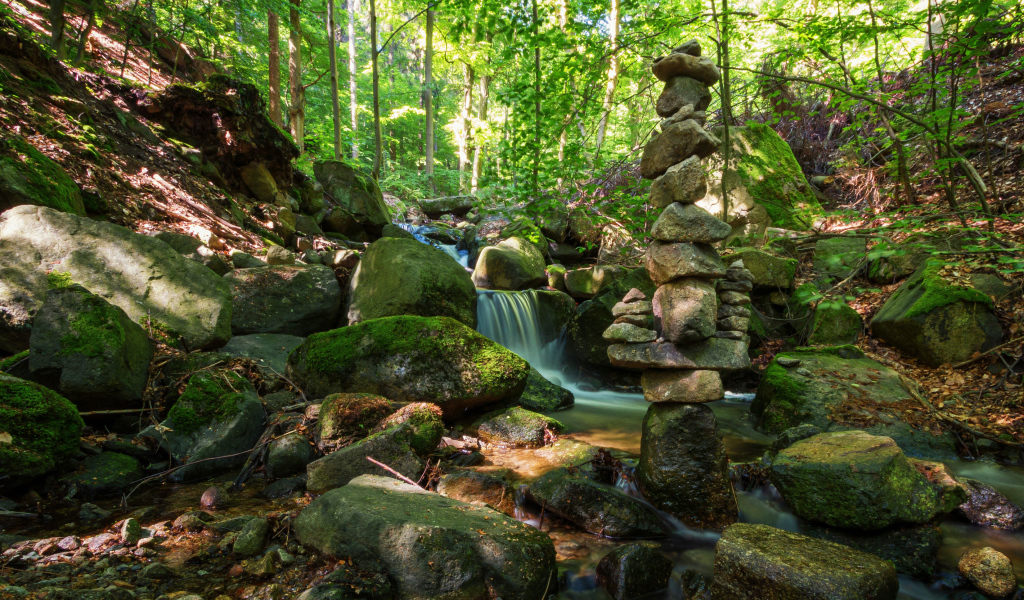 Вода стекает по покрытых мхом камням