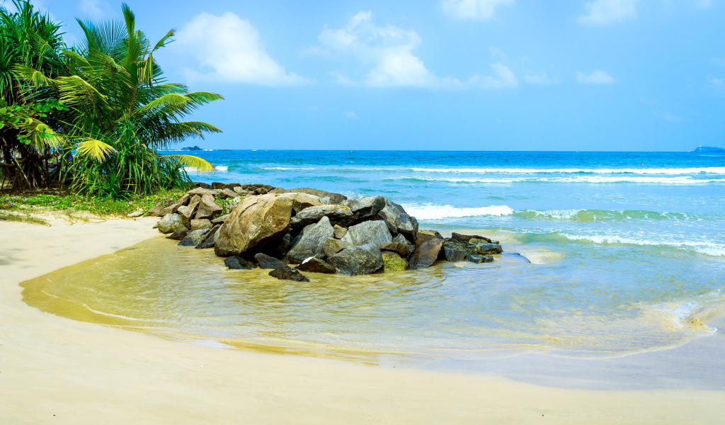 Много камней на берегу тропического пляжа летом