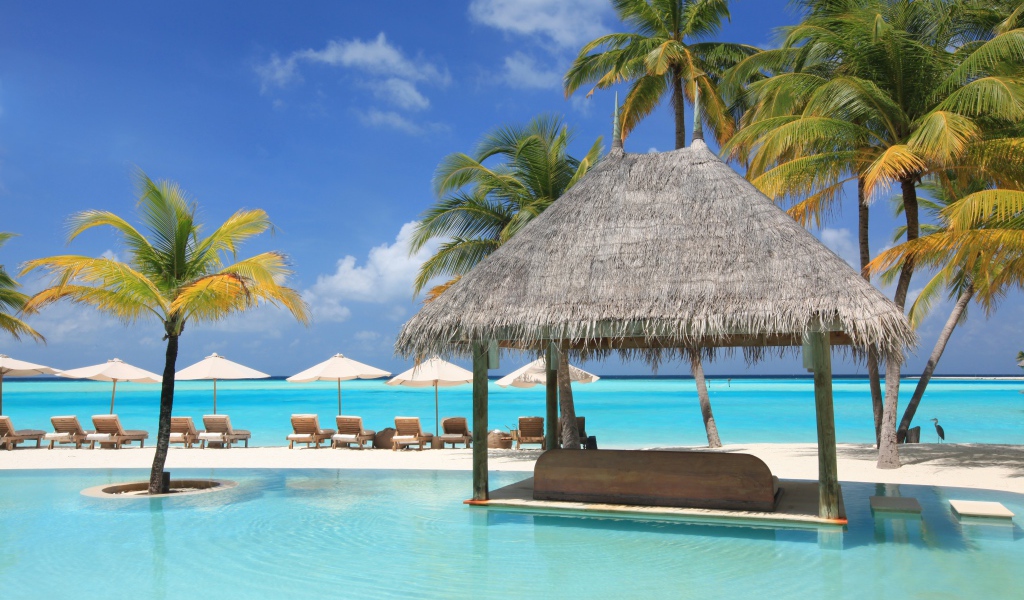 Шезлонги и пальмы на тропическом пляже у океана с голубой водой