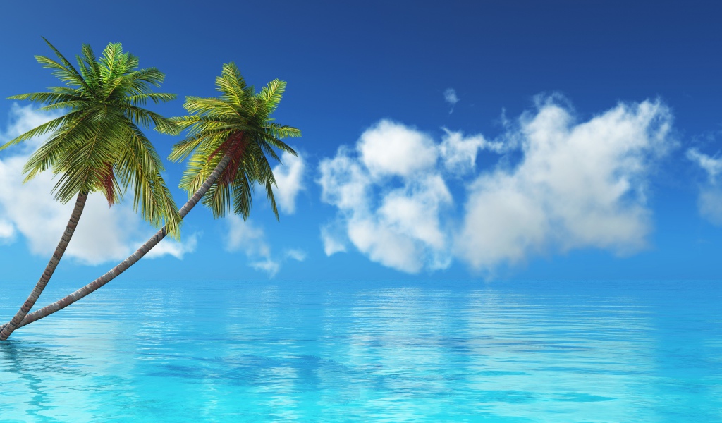 Две пальмы в голубом океане на фоне неба 