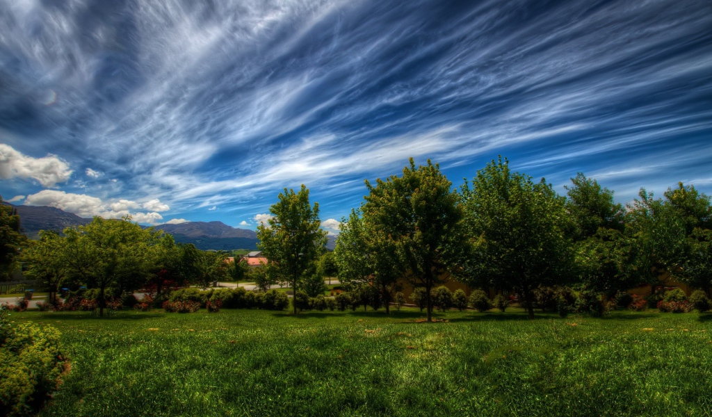 Красивое небо с облаками над деревьями