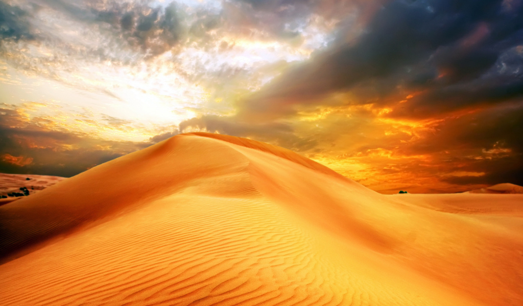 Закат солнце над барханом в пустыне 