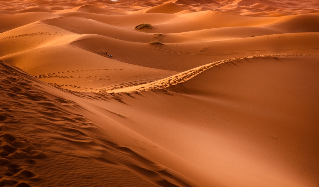 Бескрайние просторы горячей пустыни Сахара 
