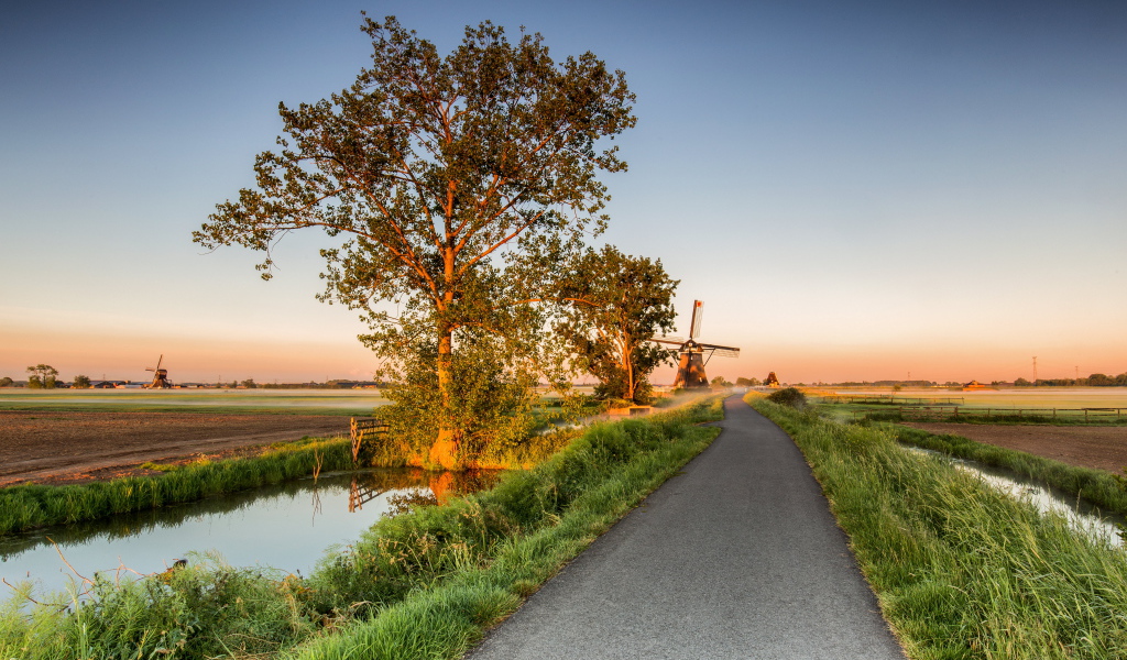 Поле и мельница у дороги на рассвете 