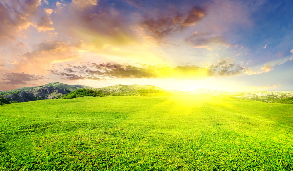 Восход солнца на зелеными полями 