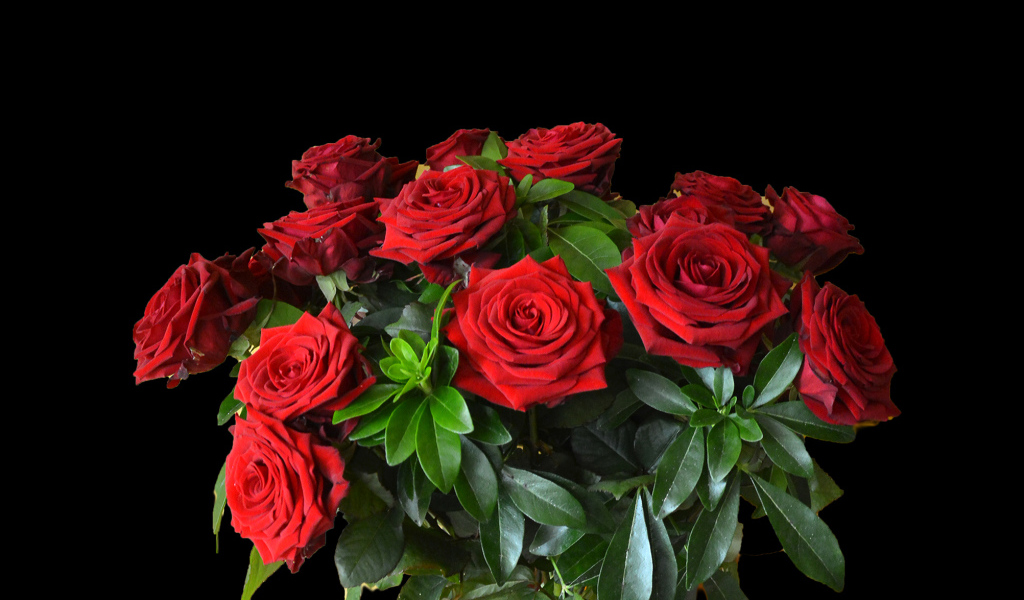 Большой букет красных роз на черном фоне