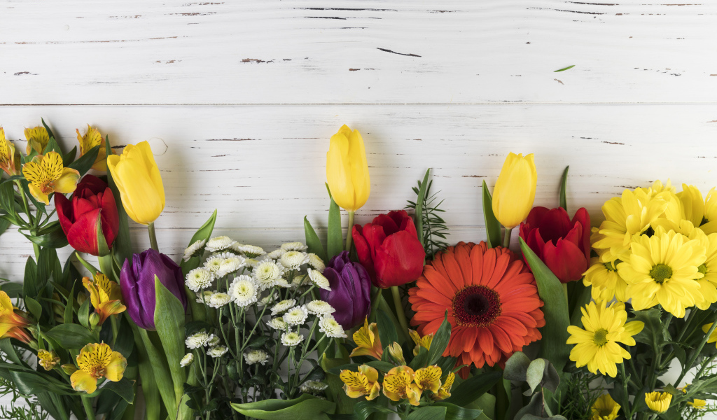 Цветы альстромерии, тюльпанов и георгин на белом фоне 