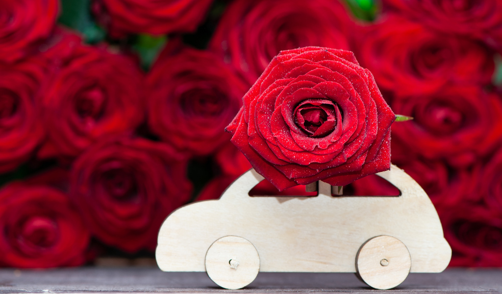 Красивая красная роза с деревянной машинкой 