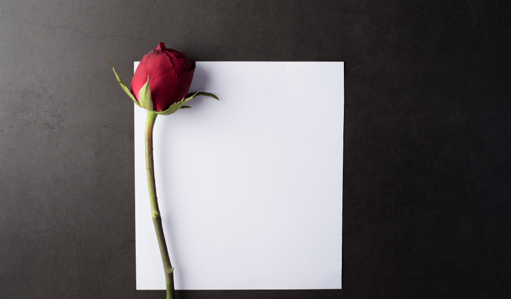 Чистый белый лист с красной розой на сером столе
