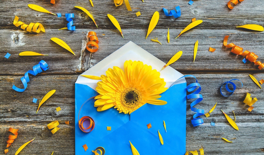 Синий конверт с желтым цветком гербер 