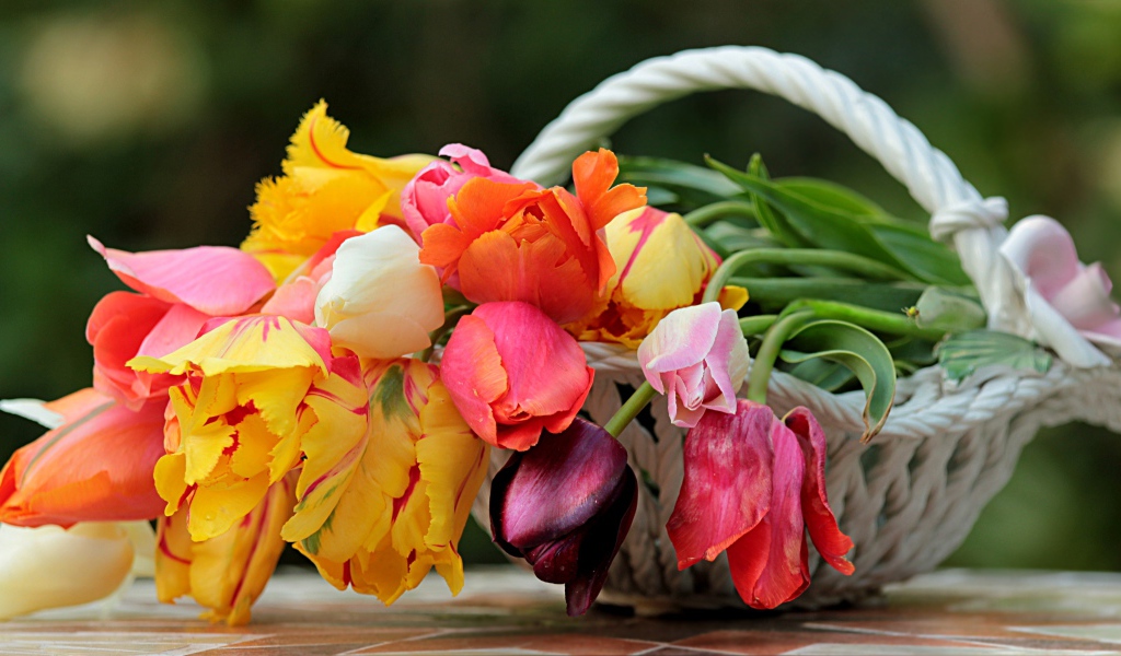 Букет красивых разноцветных тюльпанов в корзине 