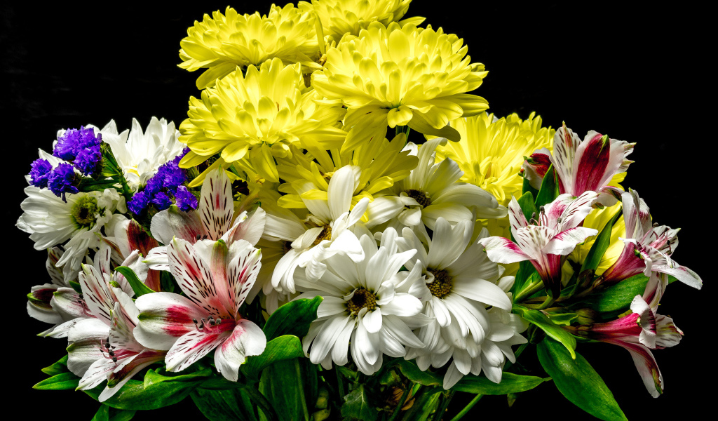 Букет из цветов хризантемы и альстромерии на черном фоне