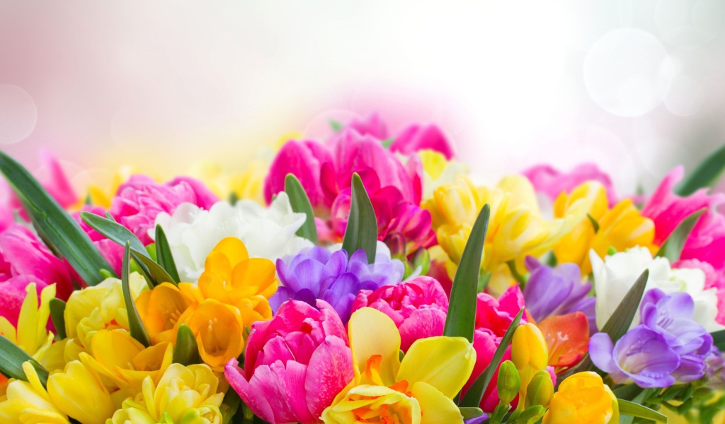 Букет разноцветных цветов  крупным планом