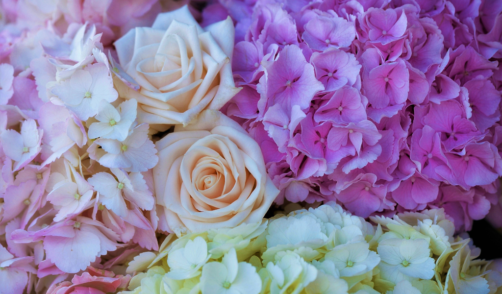 Букет из цветов гортензии и розы крупным планом