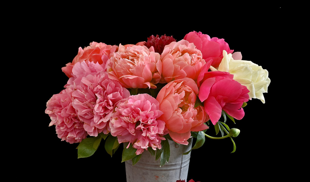 Букет разноцветных пионов в ведре на черном фоне