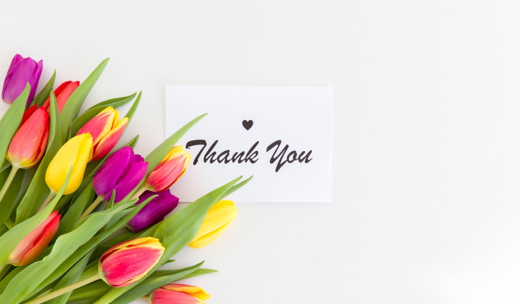 Букет разноцветных тюльпанов и надпись спасибо на белом фоне