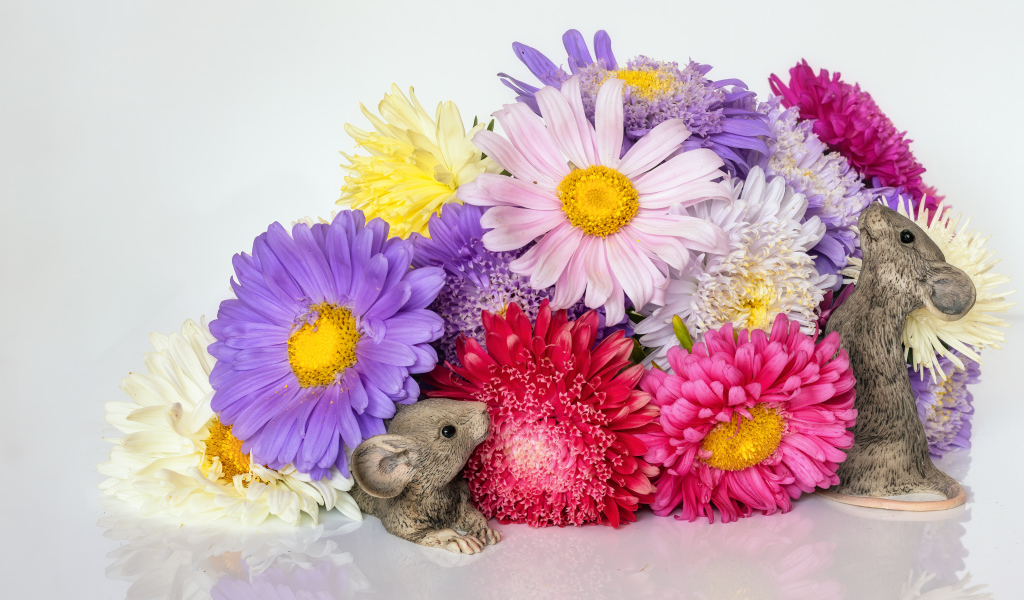 Букет разноцветных цветов астры с фигурками мышей