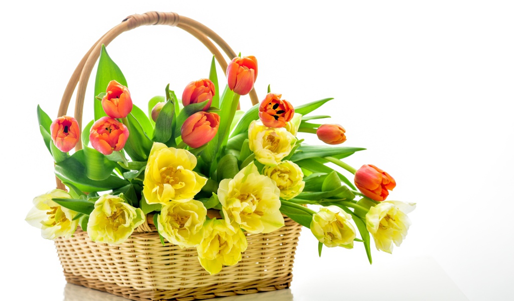 Букет оранжевых и желтых тюльпанов в корзине на белом фоне