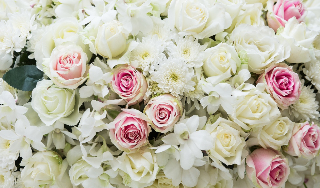 Букет розовых и белых роз с цветами хризантемы