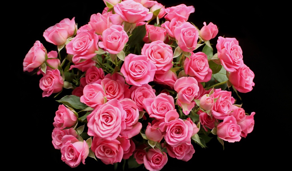 Букет розовых роз на черном фоне