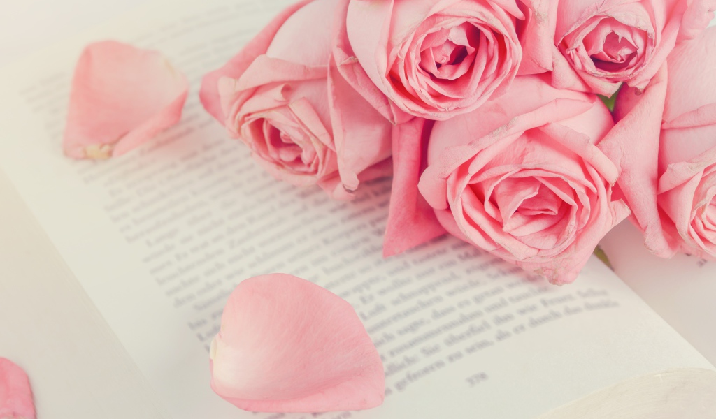 Букет розовых роз на книге