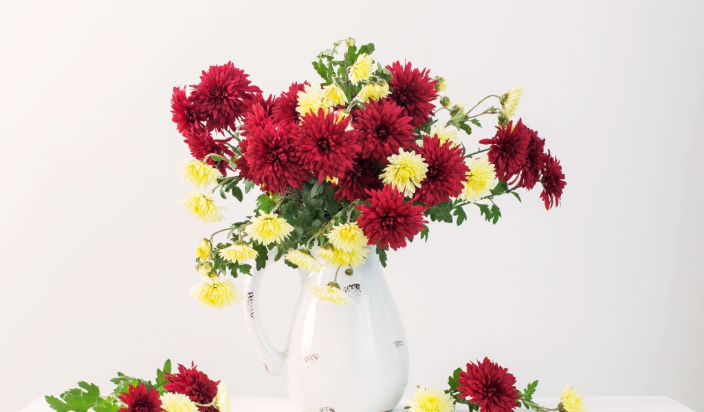 Букет красных и желтых хризантем в вазе на белом фоне