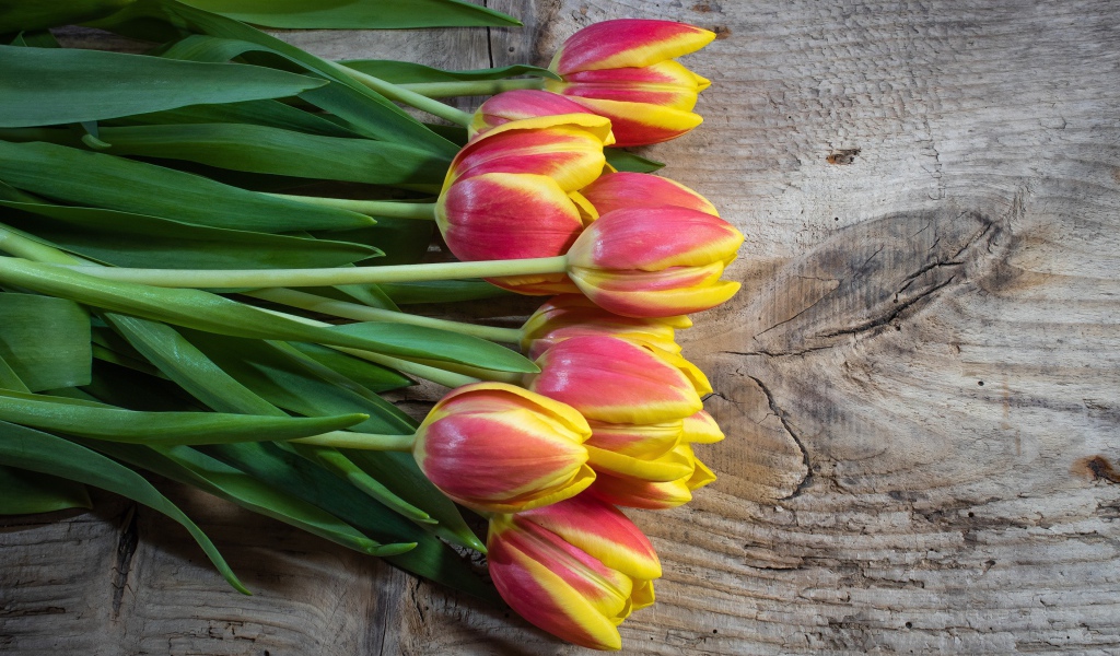 Букет красных тюльпанов с желтыми ободками на деревянном столе