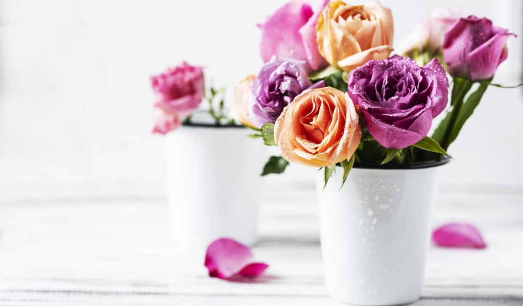 Букет роз в каплях воды на белом фоне