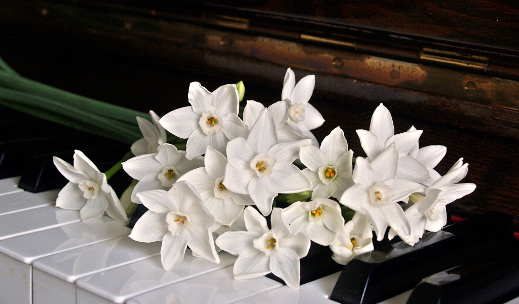 Букет белых нарциссов на кнопках пианино 