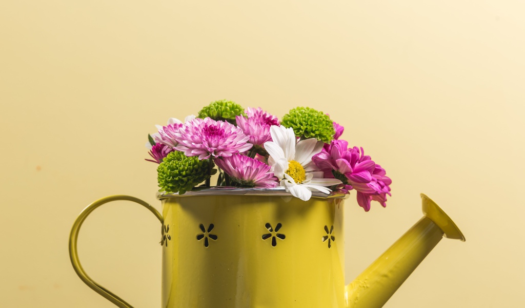 Букет хризантем в желтой лейке 