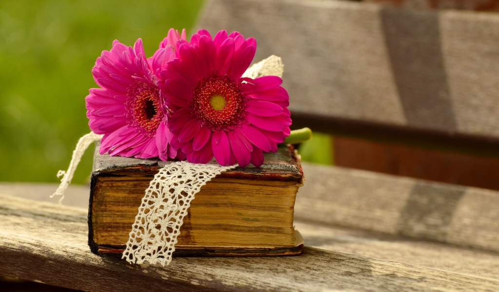 Цветы герберы со старой книгой на лавочке