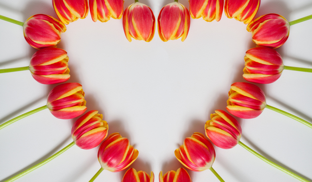 Сердце из красных тюльпанов на сером фоне