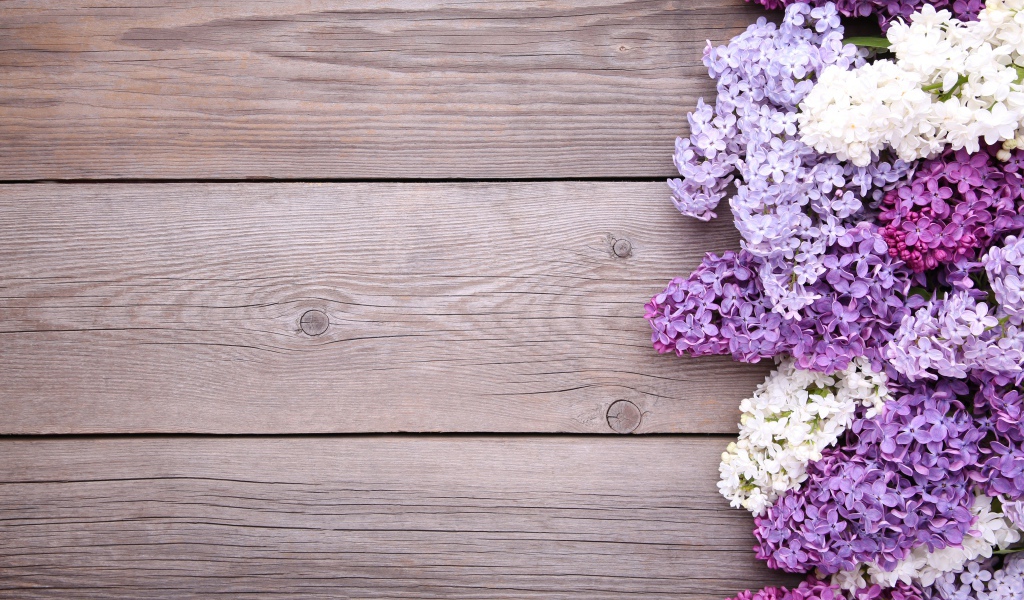 Разноцветные цветы сирени на деревянном фоне