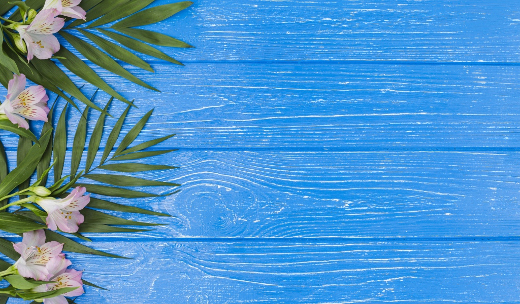 Розовые цветы альстромерии с зелеными листьями на голубом столе 