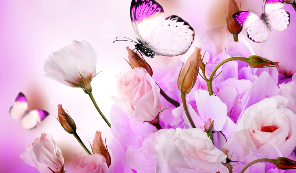 Розовые цветы эустомы с бутонами на фоне с бабочками