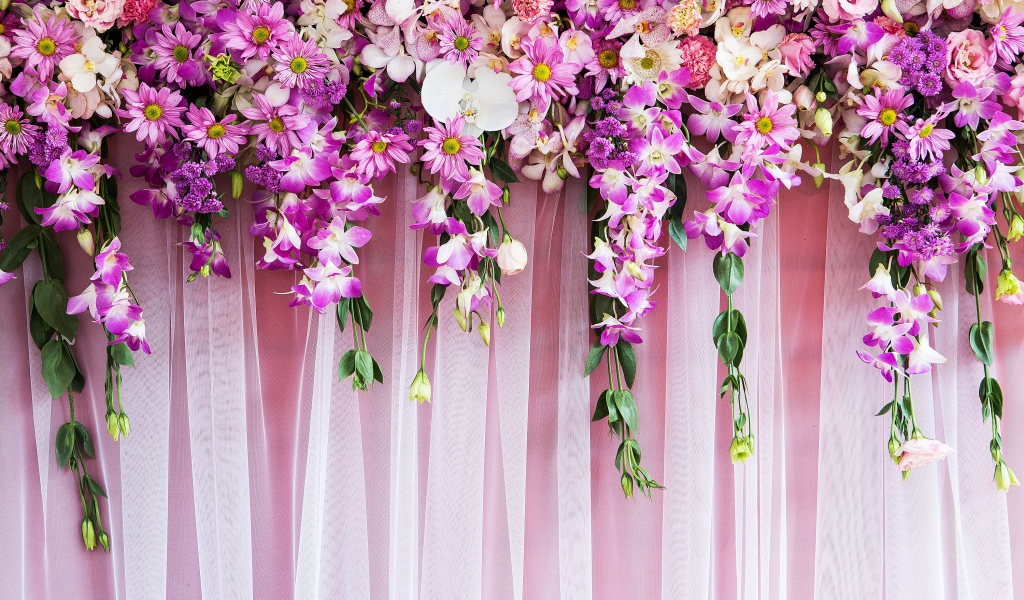 Розовые  живые цветы висят на стене 