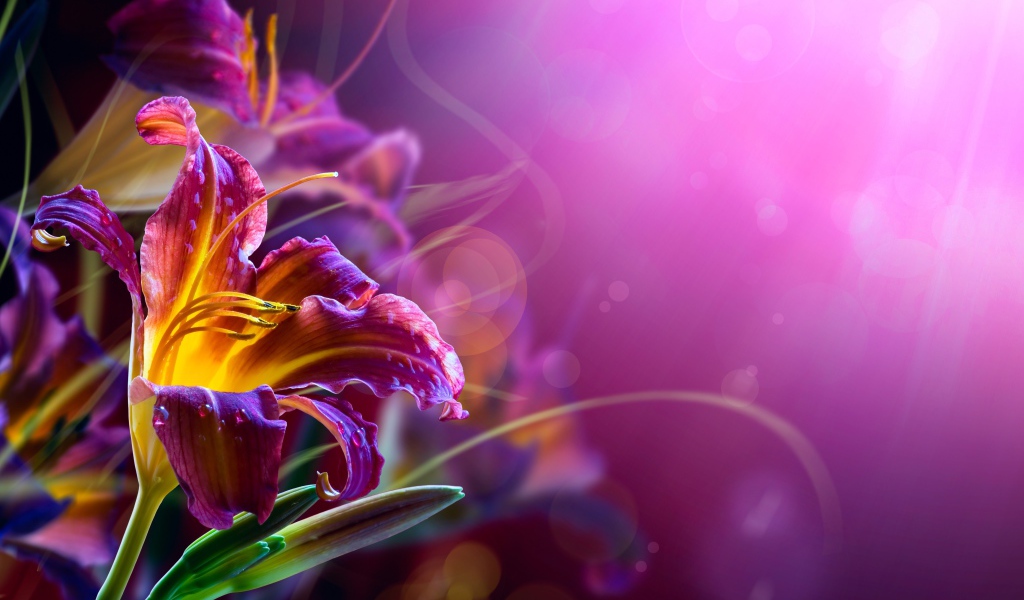 Розовые лилии на размытом фоне 