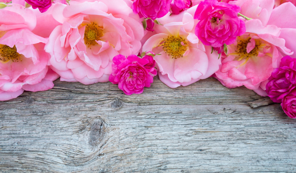 Розовые цветы парковой розы на деревянном столе 
