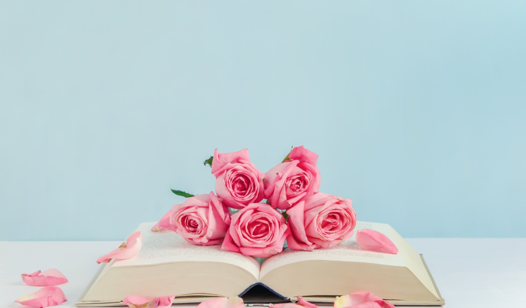 Розовые цветы розы с книгой на голубом фоне