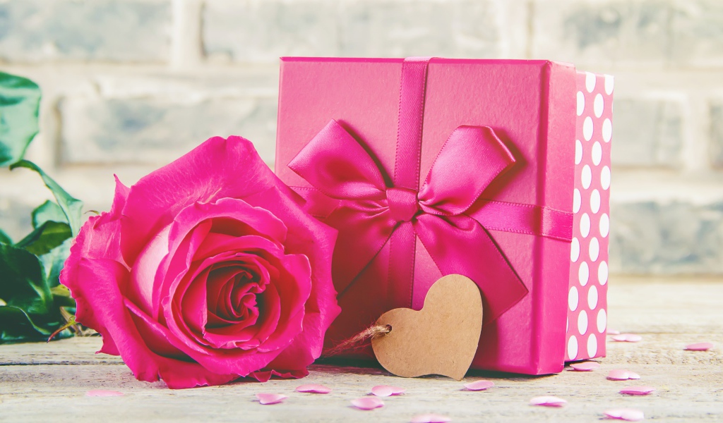 Розовая роза на столе с большим подарком с бантом